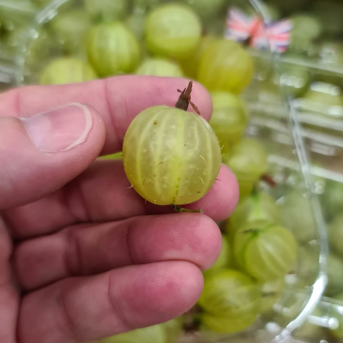 First Choice Produce tweet media