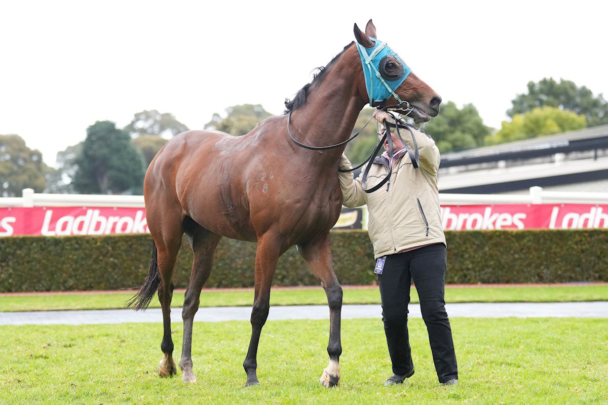 Georgia Kate tweet media