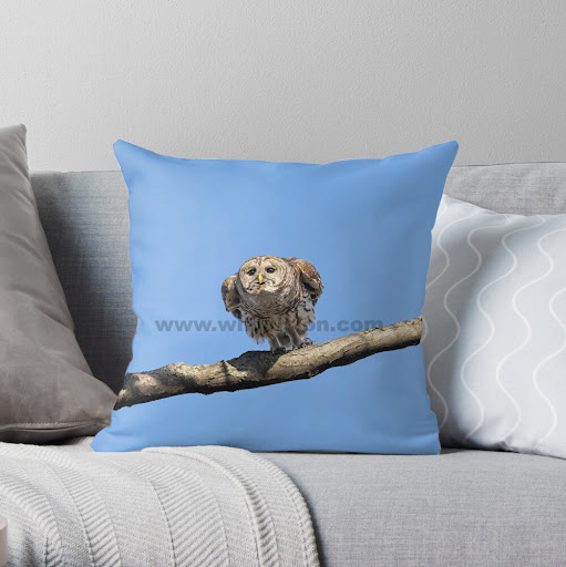 Papa Barred Owl Gliding!

redbubble.com/i/throw-pillow…

#wildvisiondotcom
#puttaswamyravishankar
#perfectgift #ಪುರಶಂ #fstopdotcom #bangaloredotcom #nature #naturephotography #BuyIntoArt #AYearForArt #Art #cosmictouchdotcom #visualrhythmcampus