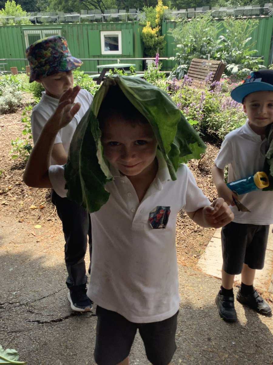 We love forest school! 🌳🌲🌿🌱#eyfs #ks1 #PS2 #outdoorlearning #forestschool