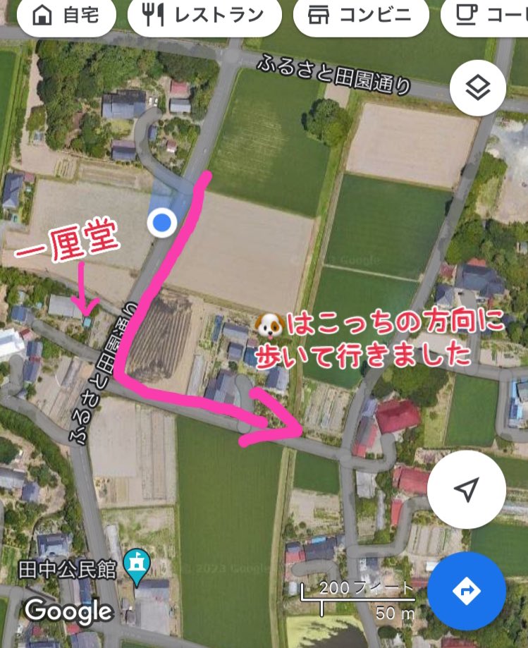 yokoterin1's tweet photo. たった今、下岡本町491   一厘堂付近で迷子犬がいました。
首輪なし(つけていた形跡もなし)。
とぼとぼ歩いていて、捕まえられそうで捕まえられない💦
東警察署に連絡して対応をお願いしました。
どこかの飼い犬さんだとしたら、ご家族に届きますように。 https://t.co/JnmxkG592s