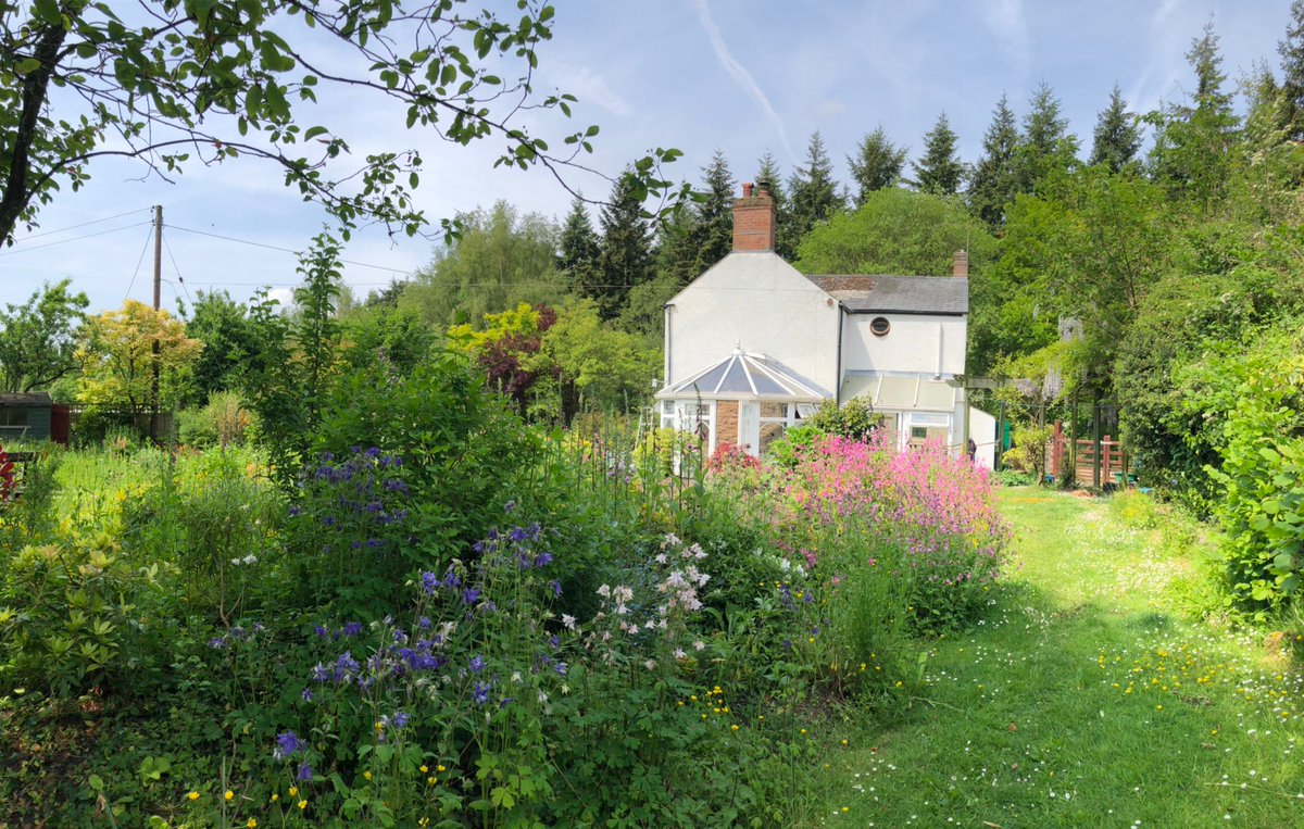 Oak Villa
#countrycottage
#VineyHill
#ForestofDean
#Gloucestershire