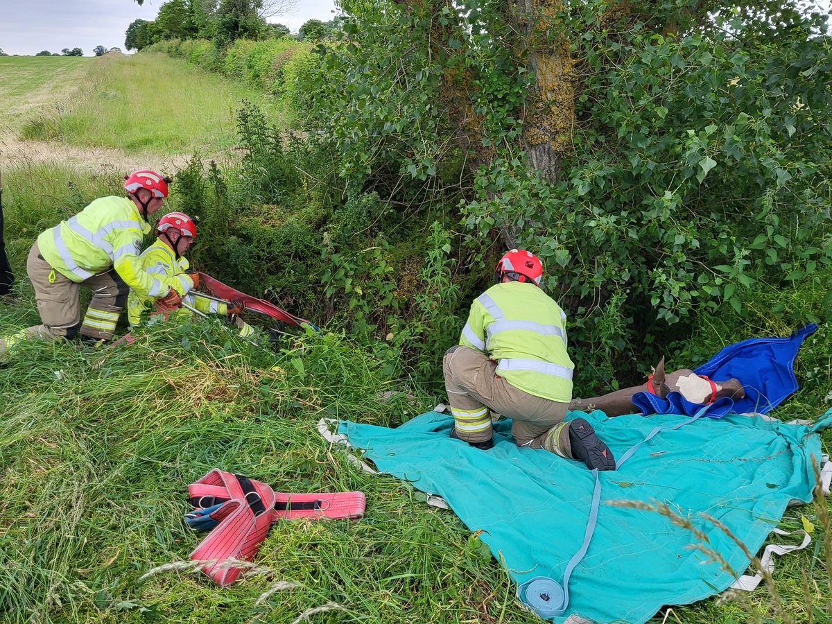 LowestoftSouth's tweet photo. Last night Red watch @SuffolkFire #firefighters took part in a joint large animal rescue exercise with @RSPCA_official inspectors and vet at a farm near Halesworth. This resulted in a successful rescue of Brian, our horse manikin 🐎🚒 https://t.co/RQ6nn3W7Ms