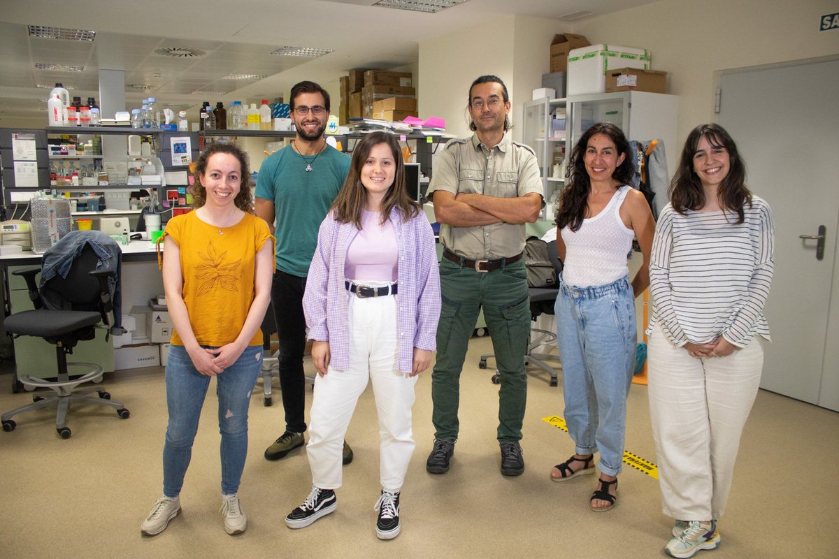 CarlosSpuch's tweet photo. Equipo de investigación en neurobiología molecular Grupo de Neurociencia Traslacional del IIS-Galicia Sur Investigador@s predoctorales: Marta Iglesias Cynthia Rodríguez  Luís Freiría, Patricia Palleiro (Investigadora postdoctoral), Tania Rivera y yo mismo (Investigadores senior). https://t.co/6s0PBoN24L