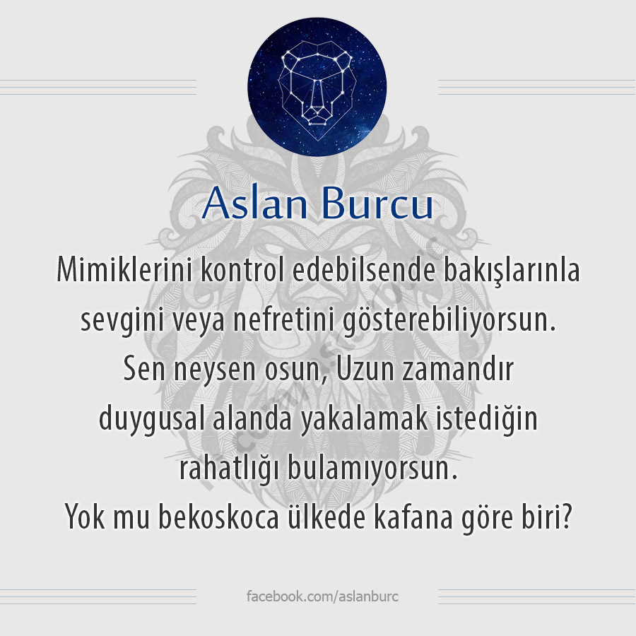 Aslan Burcu (@AslanBurclari) on Twitter photo 2023-06-28 15:00:02