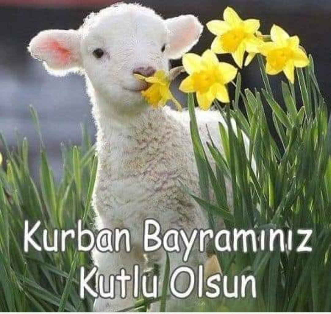 Sevdiklerinizle birlikte mutlu bir bayram geçirmeniz dileğiyle...