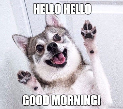 LininaInna's tweet photo. good morning all #goodmorning https://t.co/77Vu2c2xP7