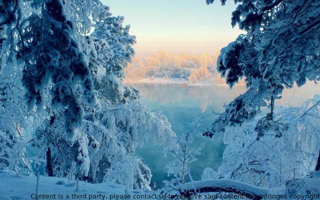 A winter forest is an icy landscape made up of trees, shrubs, and other plants that are dormant during the summer. The term can also be used to describe an area with a high concentration of these plants.