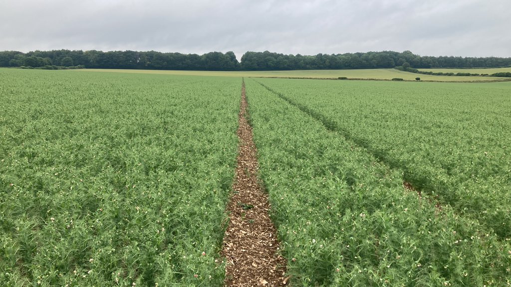 Andy Meecham tweet media