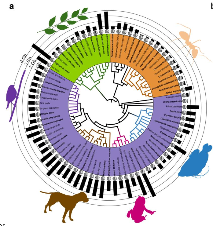 Carles Galià Camps tweet media