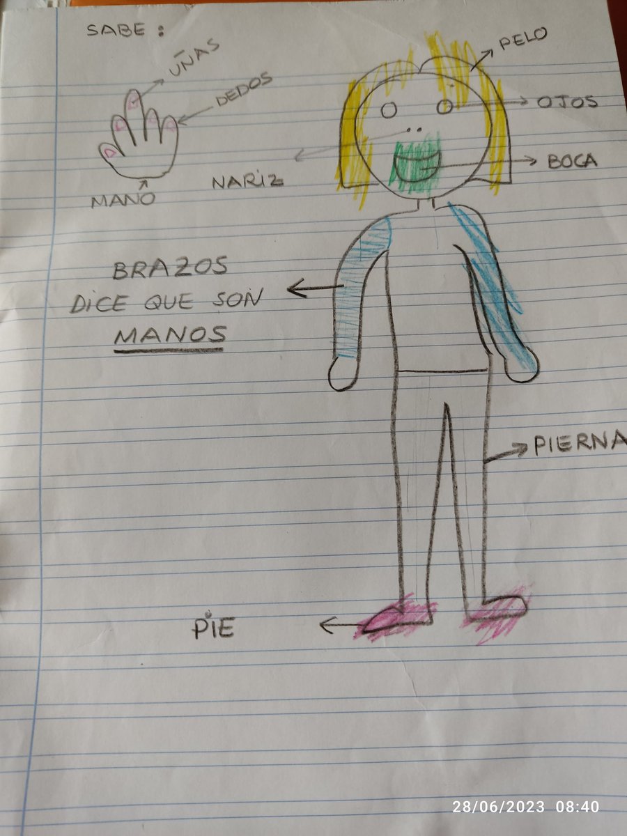 educafichas's tweet photo. Hay niños y niñas que están diagnosticados con dificultades de aprendizaje
Hay docentes que presentan dificultades para enseñar que están sin diagnosticar https://t.co/2MT9hy1OVO