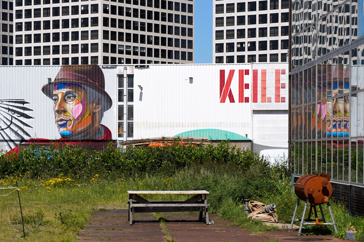 Keilewerf (2020) 😢