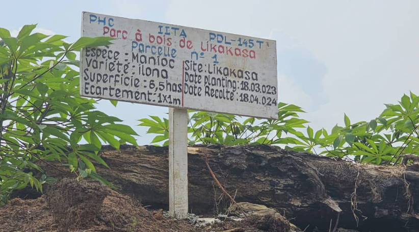 FannySalmon's tweet photo. @BoseloEmmanuel @PHC_RDC Bonjour Emmanuel, c'est pourtant ma photo prise à Likakasa la semaine passée. En voici une autre avec la pancarte PHC-IITA. Sinon je te propose de nous contacter pour une visite. Bonne journée ! https://t.co/pAINxWb1bv
