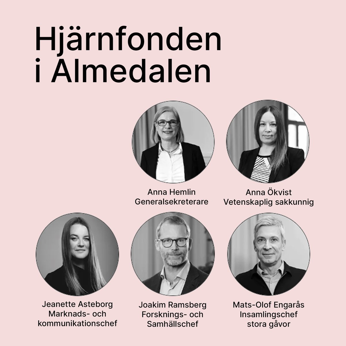 Träffa Hjärnfonden i Almedalen. Vi kommer vara på plats för diskutera jämlik hjärnhälsa och en hjärnplan för Sverige. Om du är intresserad av att träffa någon av oss under veckan - skriv till oss på Linkedin.