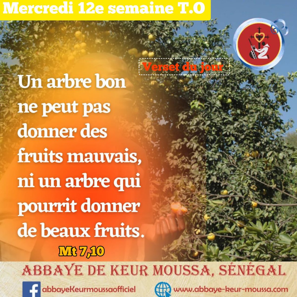 @abbayedekeurmoussa #abbayedekeurmoussa #keurmoussa #versetdujour « Un #arbre #bon ne peut pas donner des #fruits #mauvais, ni un arbre qui pourrit #donner de #beaux fruits », Mt 7,18