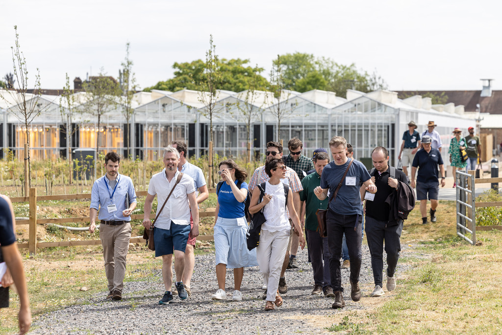 Fruit Focus tweet media