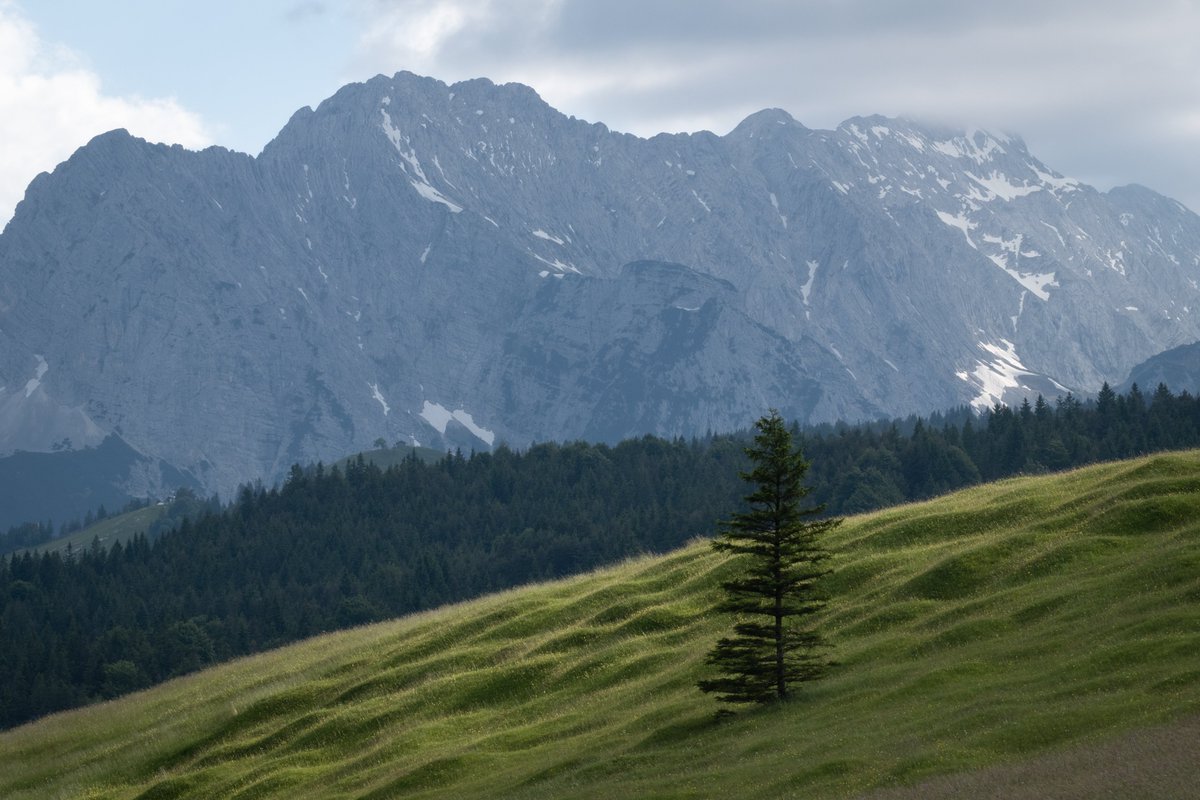 The lush Alpine meadows of Bavaria. Take me back please. #AlpenweltKarwendel #FeelgoodGermany #GermanyTourism #VisitBavaria
