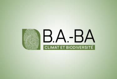 Le <a href="/cned/">Cned</a> lance le B.A.-BA du #climat et de la #biodiversité !
➡️ La première formation aux enjeux environnementaux en ligne et gratuite pour tous les Français, conçue avec un comité d’experts de référence de la recherche publique.
👉 presse.ademe.fr/2023/06/le-cne…