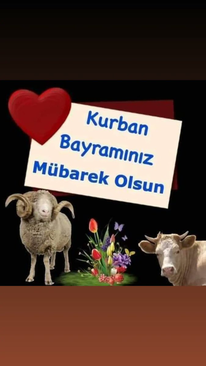 İlhan Kılıç (@lhankl57460617) on Twitter photo 
