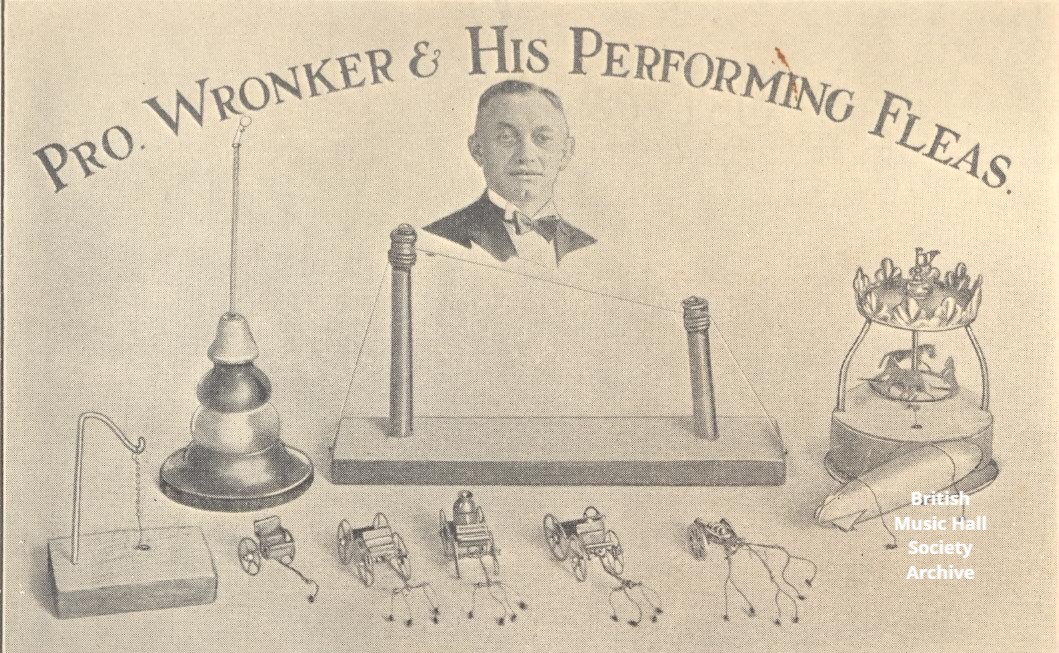 BritishMusicHallSoc tweet media