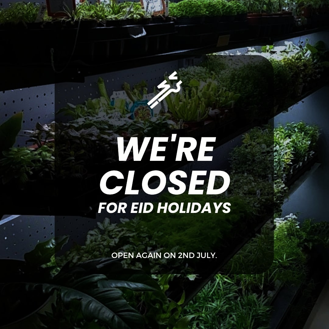 Eid Mubarak!
We will be closed until July 1st to celebrate this special occasion with our families and friends. However, we will be taking orders online through our website at dheli.art. We will be delivering orders every day except Eid and the weekends.