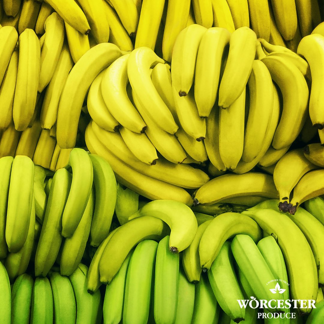 WorcesterProd's tweet image. Fresh in stock - Fyffes Costa Rican Bananas! Contact the office to order yours!! 🍌🇨🇷

#freshproduce #fruitandveg #produce #Midlands #catering #caterers #caterer #hotelindustry #restaurant #hospitalityindustry #hospitality #Worcestershire #worcester #vegetables