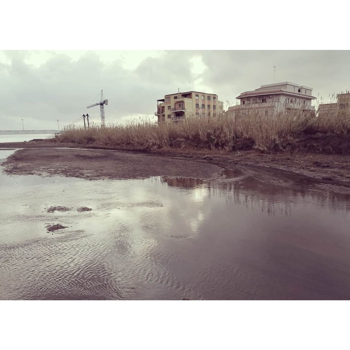 📌 Il #mercoledì è il giorno del nuovo racconto di white!
✒️ Il salto di Andrea Maggiolo

«Diventa complicato arrestare gli istinti, fermarsi un passo prima del precipizio. Non c’è, a frenarti, l’attrito salvifico delle aspettative da non deludere».

📌whiterivista.com/single-post/il…