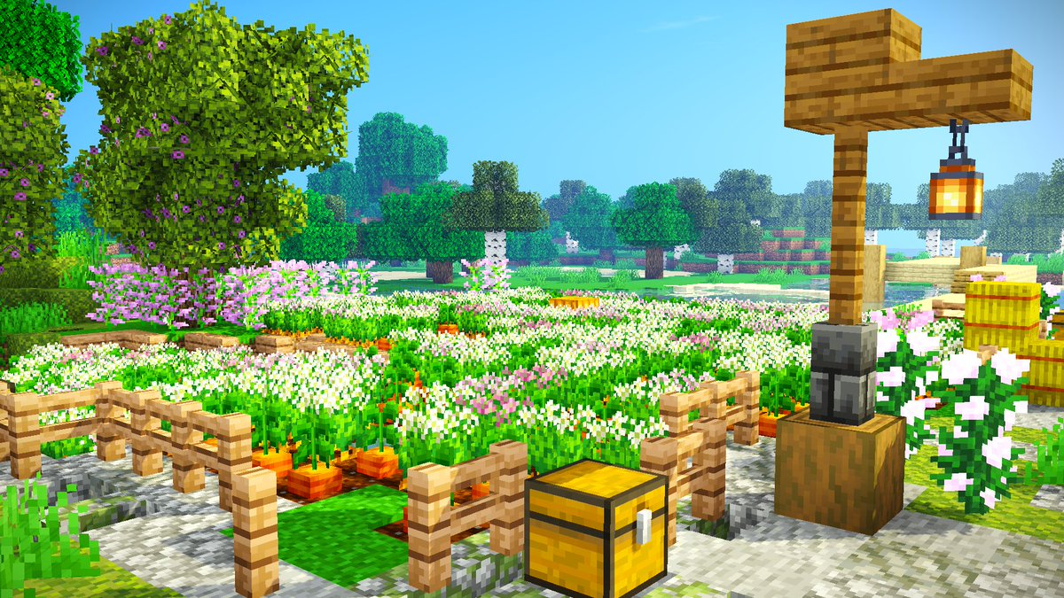 CCMSMP's tweet image. Some cute lil sceneries we took from our community garden @CCMSMP 🐸🐌🌻
