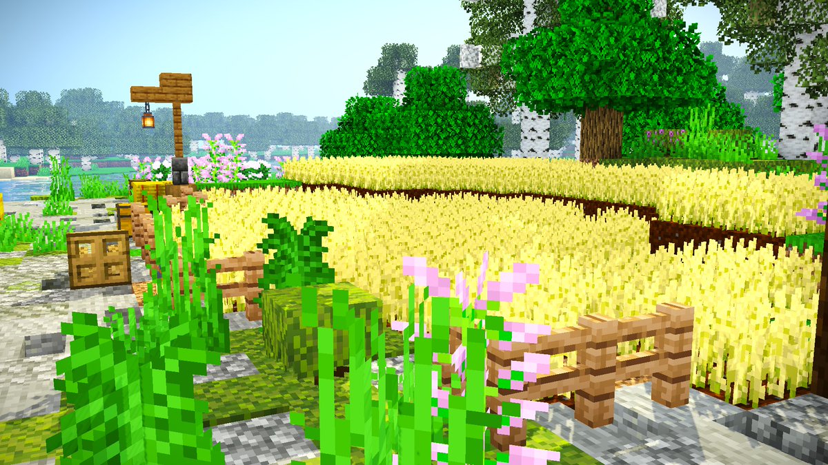 CCMSMP's tweet image. Some cute lil sceneries we took from our community garden @CCMSMP 🐸🐌🌻