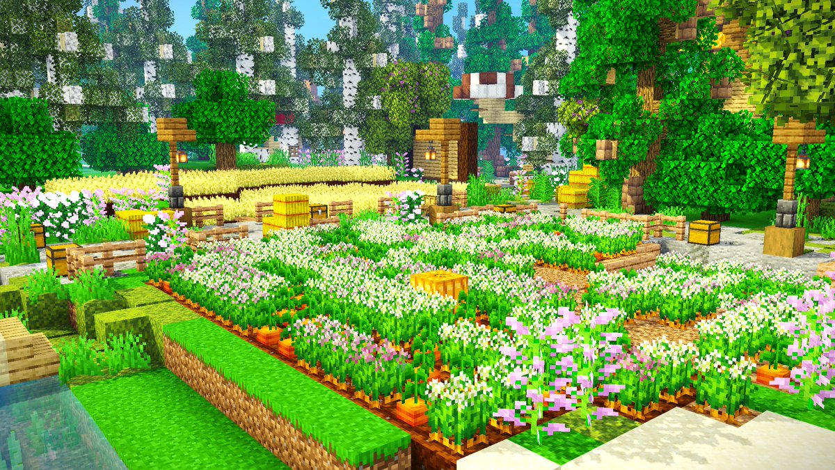 CCMSMP's tweet image. Some cute lil sceneries we took from our community garden @CCMSMP 🐸🐌🌻
