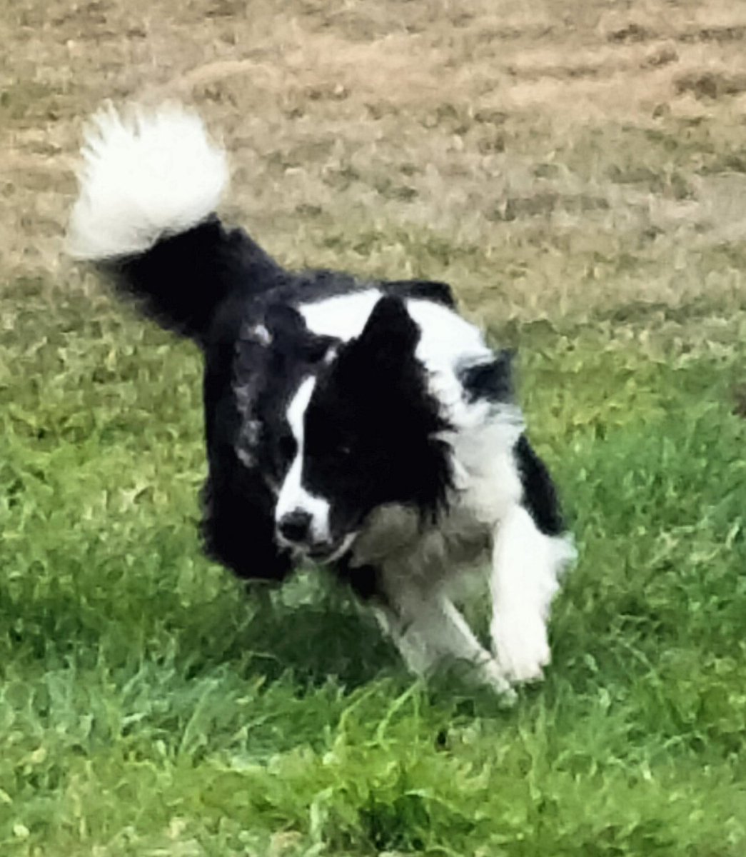 mrgarymatthews's tweet image. Hopefully, the #RWNJ press are overpaying the support for No.

I am #VotingYes

I have noticed an increase in accounts like yours pushing disinformation and misinformation.

I expect the majority in a majority of states vote #Yes