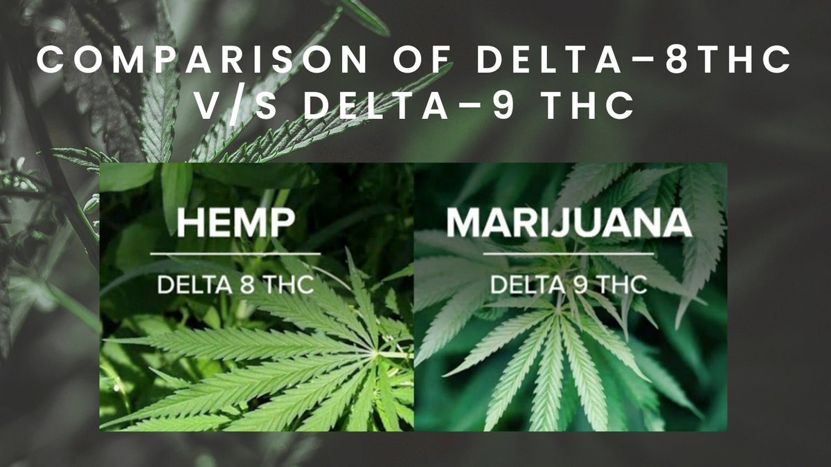 Explore the unique effects and benefits of Delta-8THC compared to its well-known cousin, Delta-9 THC.

cbdharmonyshop.com/comparison-of-…

#Delta8THC #Delta9THC #CannabisCommunity