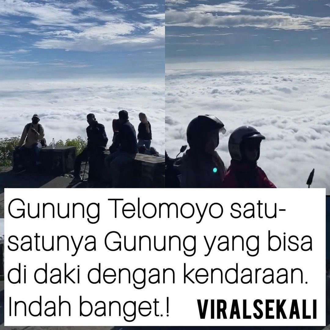sosmed keras tweet media