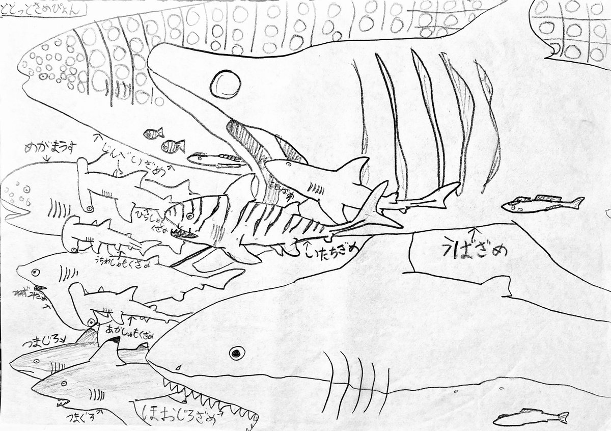 #TLをサメまみれにしよう 6歳のときに描いたサメの絵です🦈 この頃の落書き帳はまさにサメまみれです。