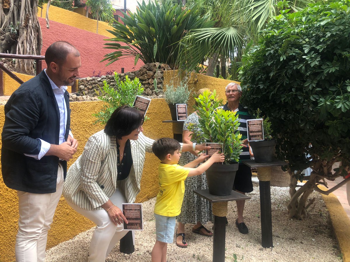 Así fue la presentación en #Almuñécar del proyecto "Un bosque de lecturas" 🌳📚, del grupo de cooperación bibliotecaria Marea Lectora
🔗bit.ly/aerev-bdl
