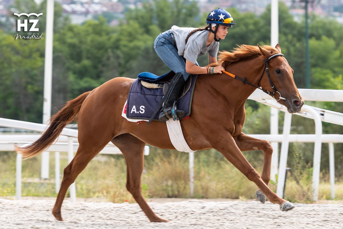 🏇Mañana debuta como amazona <a href="/Daniela_rg5/">Daniela Rodriguez</a> en la primera carrera de la noche. La hija de <a href="/Nieves07garcia/">nieves garcia</a>  y <a href="/JorgeARodrgue11/">Jorge A. Rodríguez Esteban</a> cumplirá su sueño de seguir los pasos de sus padres. Una vida entre caballos.
¡Mucha suerte, Daniela!
💪😍
#LlevamosElTurfEnLaSangre