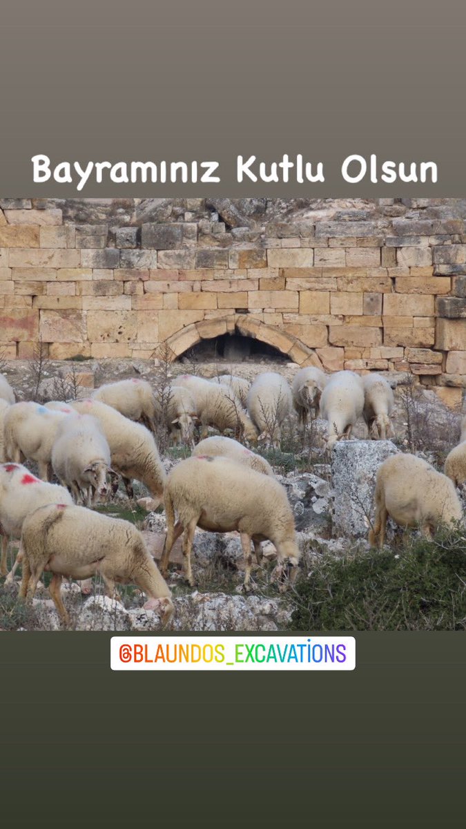 Birol Can (@canbirol) on Twitter photo 