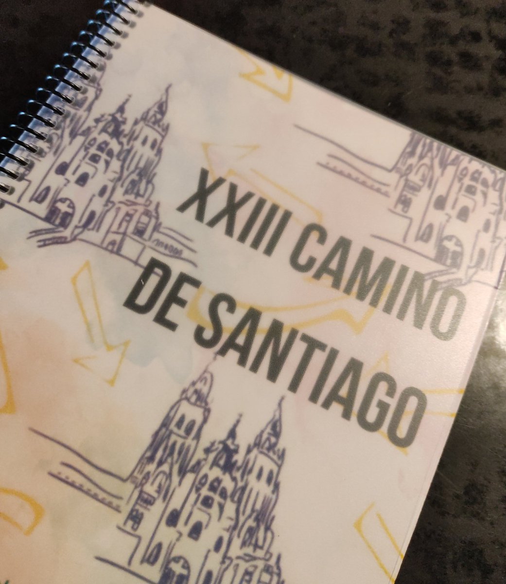 XXV Camino Lourdes tweet media