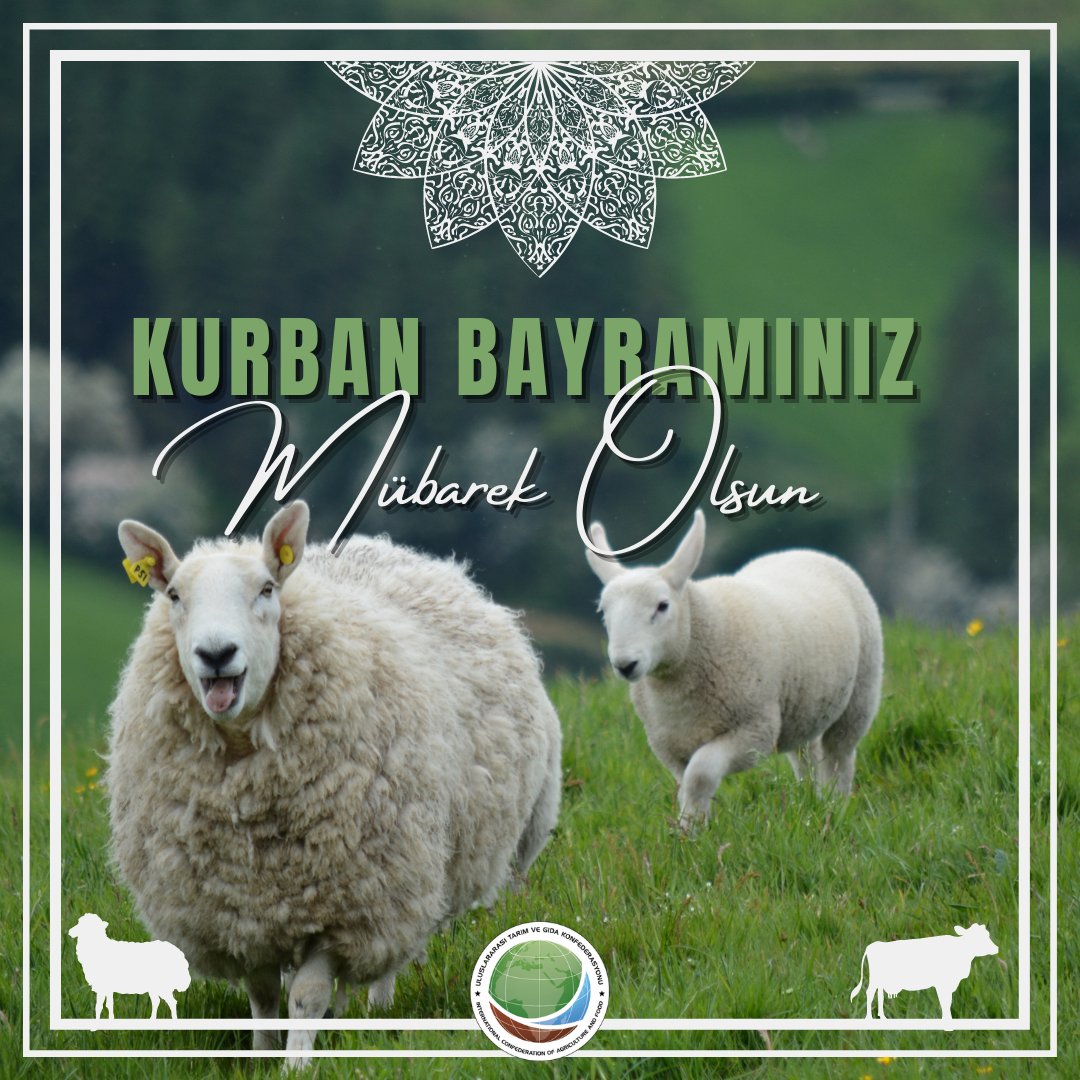 Kurban Bayramı'nın güzellikleri yüreğinizi kuşatsın, evinizi huzur ve bereket dolsun. Sevdiklerinizle birlikte mutlu bayramlar geçirmeniz dileğiyle.
#kurbanbayramı
