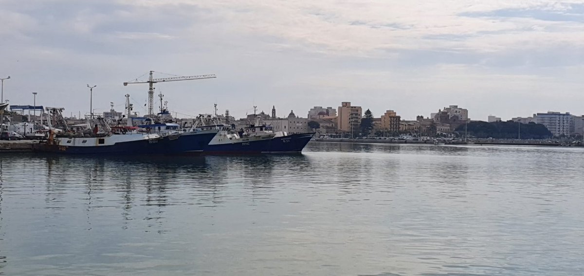 salqui66's tweet photo. Delusione per l’OK da parte del Consiglio dell'Ue alle #telecamere a #bordo.
Le comunità di #pescatori vanno coinvolte  e non controllate! @FerrariGilberto @TardinoAnnalisa https://t.co/LWBRyA2jrj