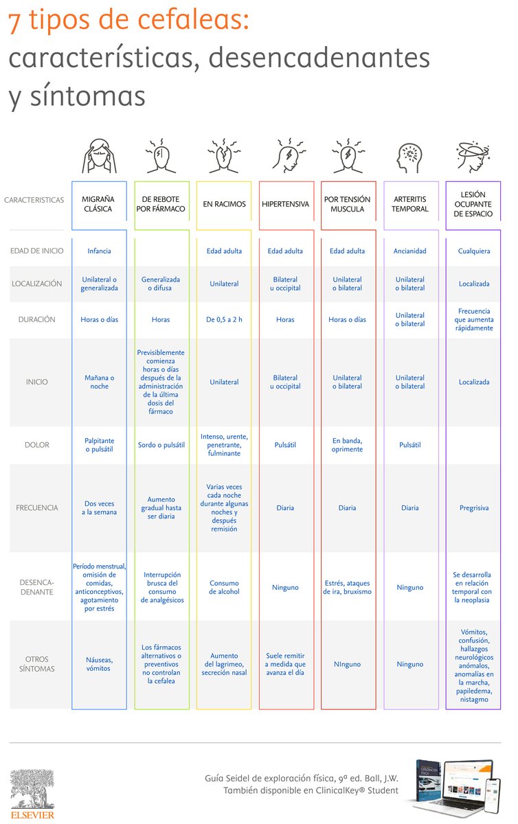 Elsevier_Es's tweet photo. 🔶 Tipos de cefaleas: características y síntomas 

SABER ➕ 👉 https://t.co/9NIFgkROCG https://t.co/0XvLLc5VH7