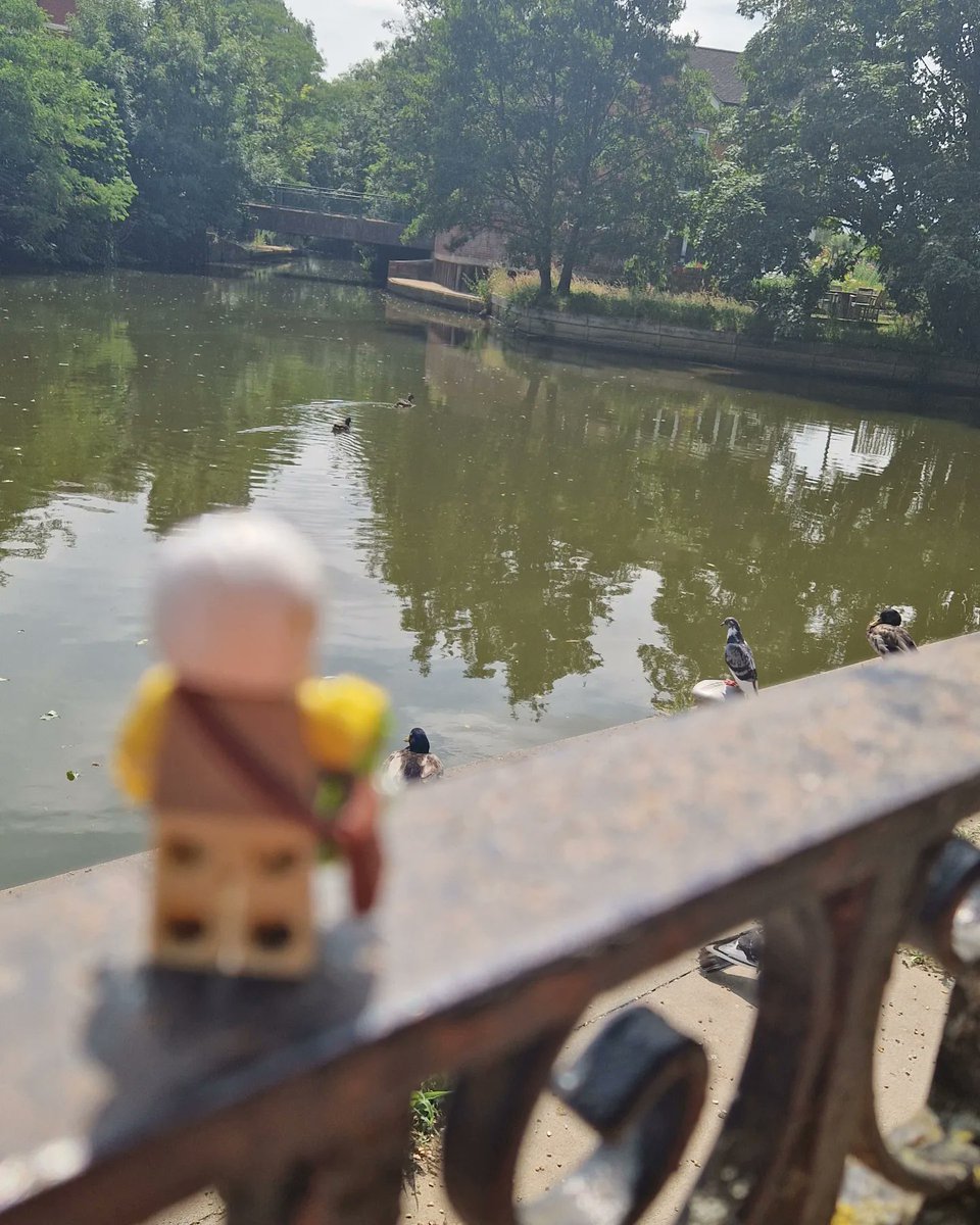 TAHabstract's tweet photo. Day 27: #30dayswild 

As my wonderful child couldn't safely go to school today. We had an adventure.
Part of that is we watched the ducks on the river and saw the tiniest fluffiest baby duck with its parents. Only one. But it was alive ❤️

#lego30dayswild
@30DaysWild https://t.co/S41xfMrPlu