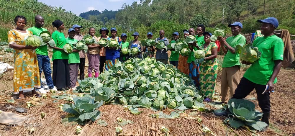 RDO Rwanda on Twitter: