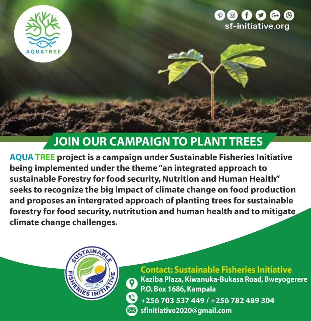 SFAAwards's tweet image. @AquaTreeProject is an initiative of  @FishInitiatives that recognises impacts of #climate change on #livelihoods and #food production and proposes an approach of planting #trees /sustainable #forests for food security, nutrition and human health and to mitigate climate change!