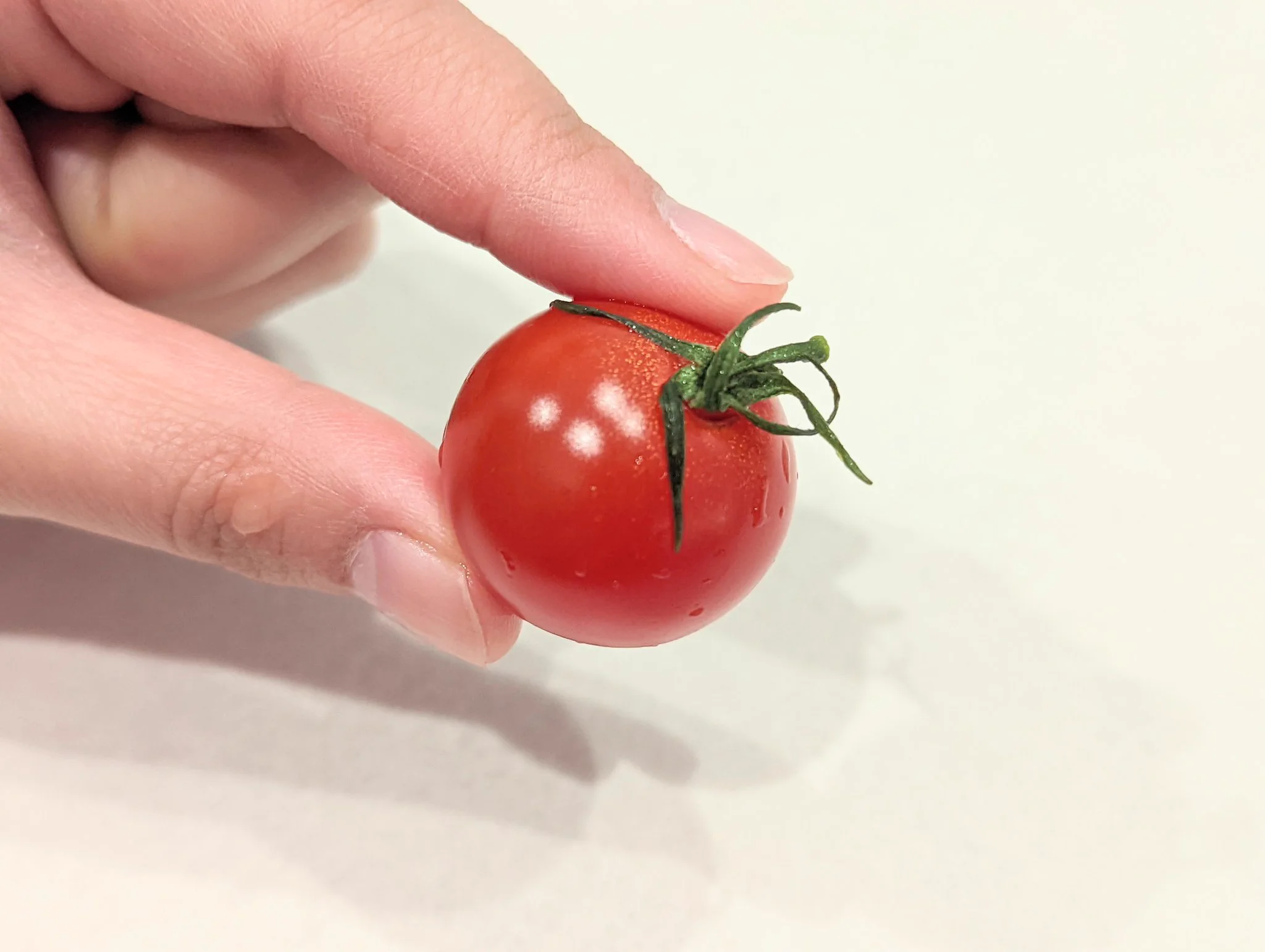 シワシワになったミニトマトを…復活させる方法があった‼