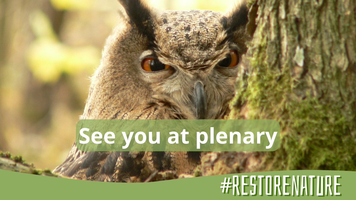 #restorenature : La loi sur la restauration de la nature ✋ reste en suspens, le vote en plénière du 12 juillet sera décisif !