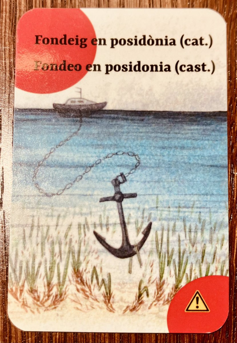 Os recomiendo los “Naipes marinos del Mediterráneo” por <a href="/DivulMar/">DivulMar</a> 

24 especies mediterráneas con imágenes, nombre científico, nombre común en catalán y castellano.

¡Geniales!