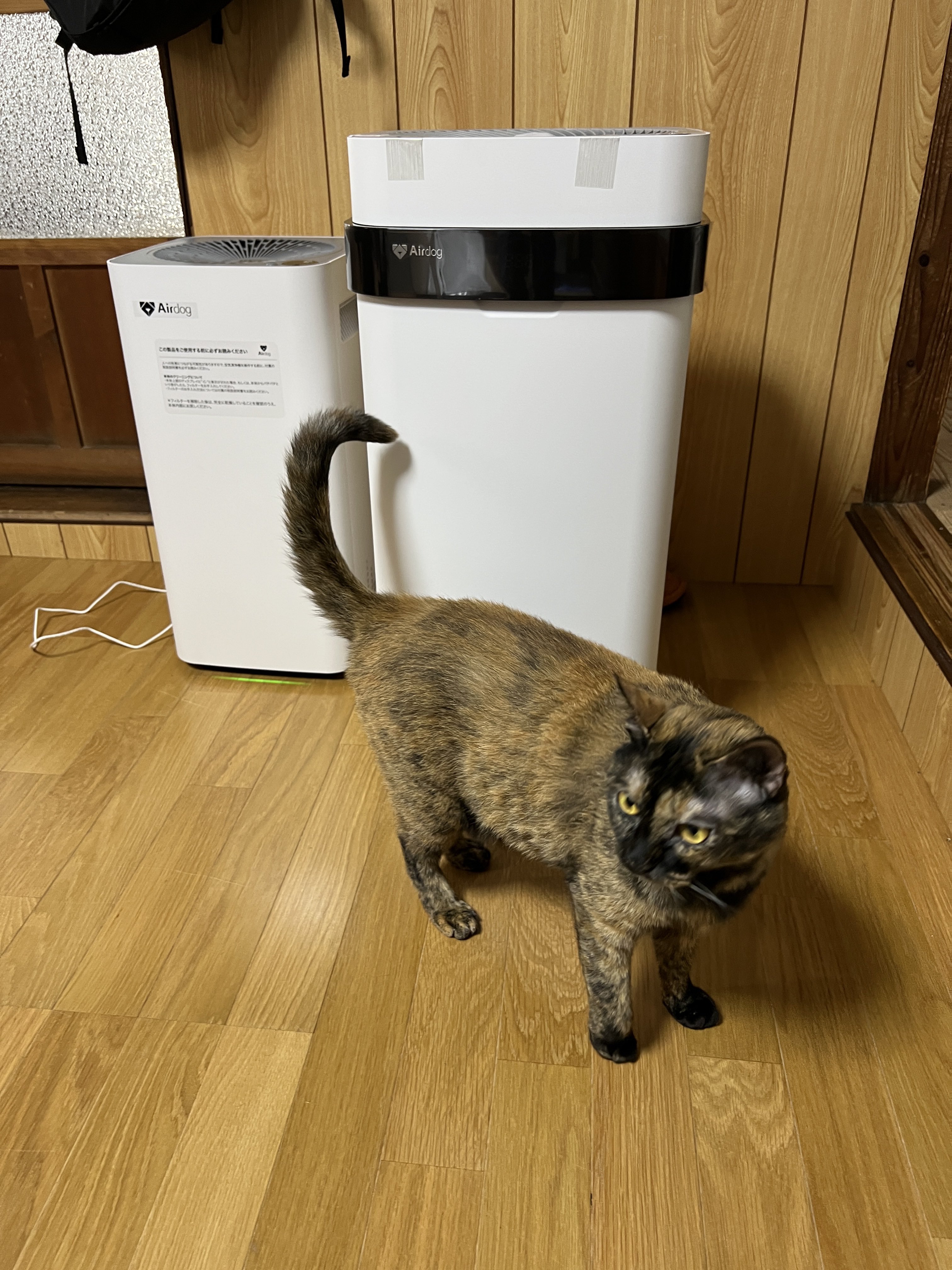 【猫を飼っている人 猫アレルギーじゃない人限定】 東京西川 AIR 01シングル 猫を飼っている人 猫アレルギーじゃない人限定】 東京西川 AIR