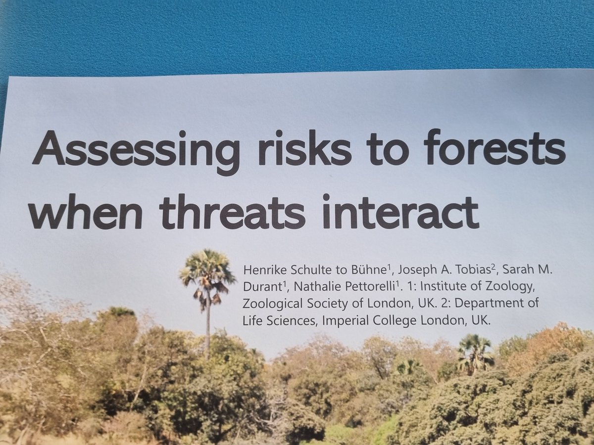 Looking forward to the #Trees4CBP conference in Canterbury - I'll be hanging out near poster 34 if you're interested in a chat about interacting pressures in forest ecosystems🌳