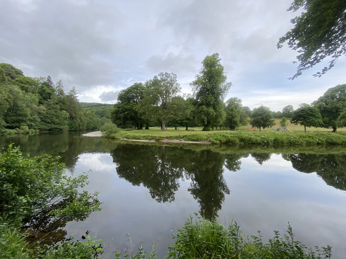 JudithDenwood's tweet image. We’ve moved into a bit of, welcome, cooler &amp;amp; rainy weather here in the Scottish Borders 😁. Here’s a reminder of last week ❤️ #Scotland #Alwaysbeautiful #wednesdaythought